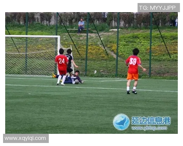 公司看足球：团队合作与激情碰撞的职场新体验