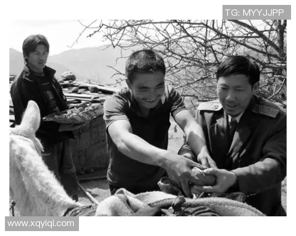 失恋后的重生在绿茵场上踢出心中的痛与希望 失恋后的重生在绿茵场上踢出心中的痛与希望