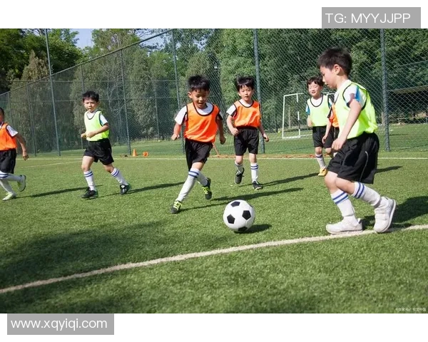 陵水少儿足球培养未来之星助力青少年健康成长与团队精神发展 陵水少儿足球培养未来之星助力青少年健康成长与团队精神发展