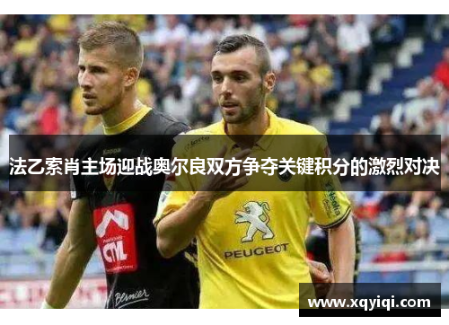 法乙索肖主场迎战奥尔良双方争夺关键积分的激烈对决